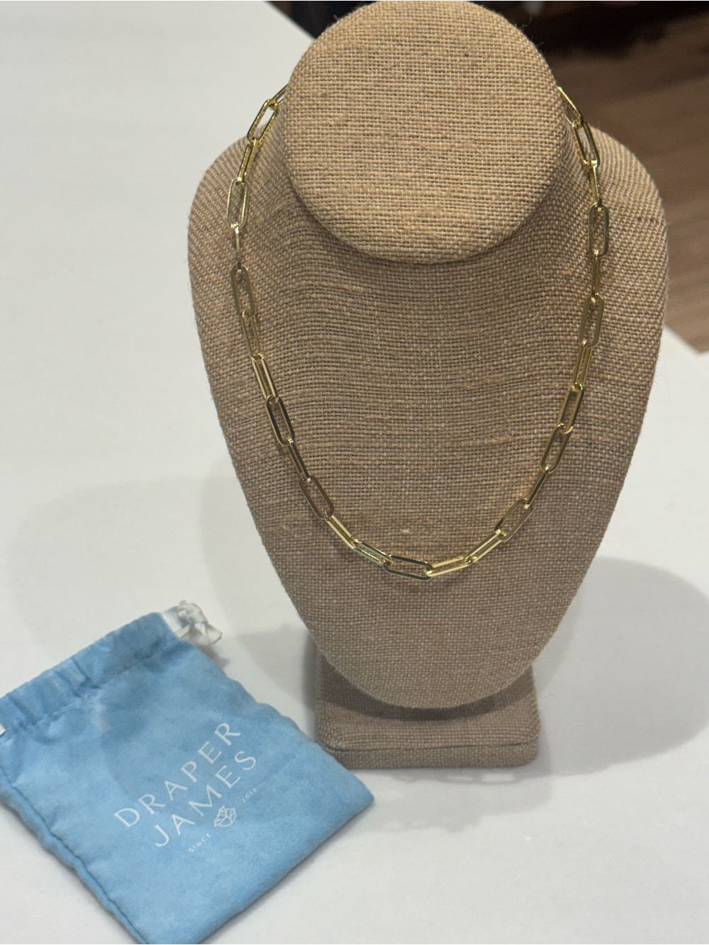 Draper James Gold Link Paperclip Necklace